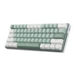 Royal Kludge RK C61 Gaming Keyboard - ( Black / Green Mint Switch)