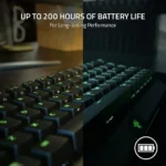 ⁦Razer BlackWidow V3 Mini HyperSpeed⁩ - الصورة ⁦4⁩